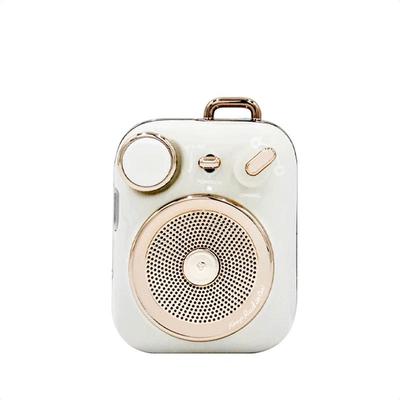 Mao Wang MW-P3 Tragbarer Bluetooth-Lautsprecher CN-Stecker (Adapter enthalten)