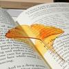 2 Pièces Marque-page de Lecture Accrocheur Clip en Acrylique Signe Tranche de Fruit Marque-page Haute Qualité Pour Collection de Papeterie Cadeau Stu