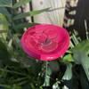 3 Pcs Bee Drinking Cup Butterfly Water Feeder with Glass Beads Bee Water Station with Stake for Garden Pollinators Yard Decor