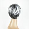 Wig Female European And American Fashion Short Hair Female Black And White Chemical Fiber Headgear