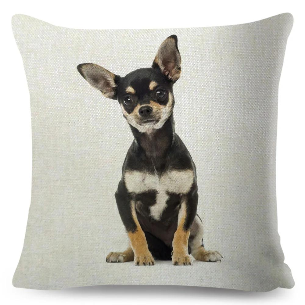 Niedlicher Kleiner Hund Chihuahua Kissenbezug Deko Liebes Haustier Tier Kissenbezug Polyester Überwurf Kissenbezug für Sofa Zuhause Auto 45x45cm