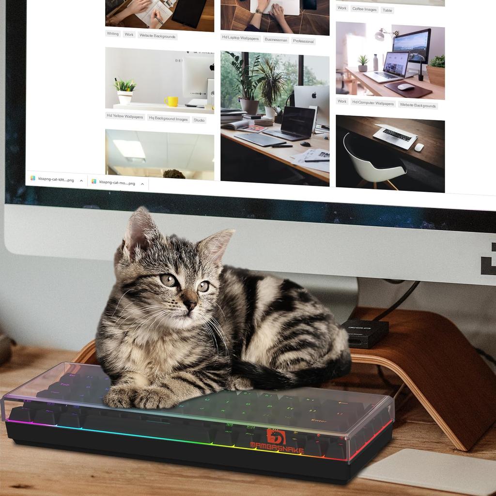 MAMBASNAKE Keyboard Suitable for 68 Key Mini High Temperature Pressure Bending Cat Storage Case Cover, Dustproof, Acrylic, 60% Keyboard/Gaming