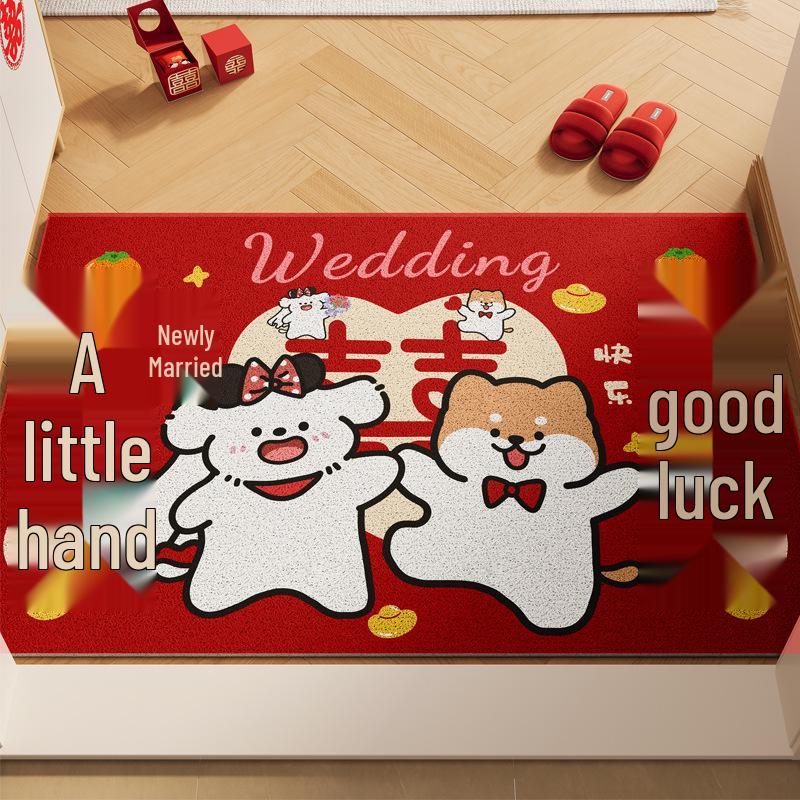 Dopamine Door Mat: Hallway Shoe Changing Area Coil Mat, Dust Removal, Stain Resistant, Easy Care, Cute Design 40*60cm Coil Material