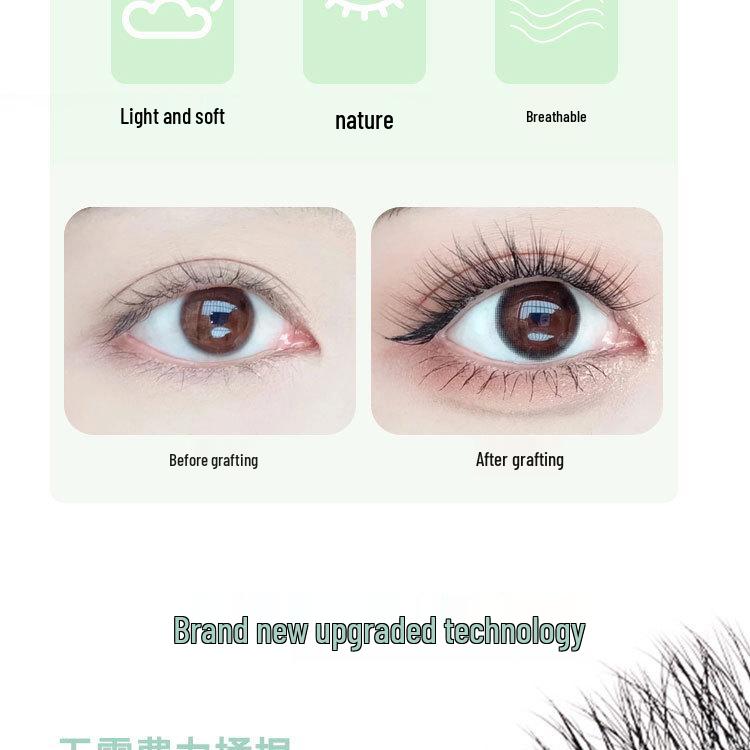 DeceMars 8D Pre-made Grafting Eyelashes for Technicians - Dense, Natural, Beautiful Lash Extensions with Non-Scattered Roots.