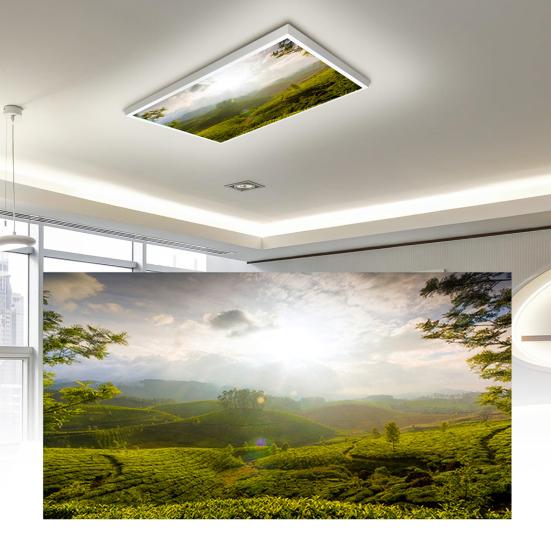 Fluorescent Light Cover with 10 Magnets Exquisite Pattern Easy Installation Fluorescent Light Filter Magnetic Ceiling Light Cover