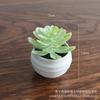 Artificial Succulent Mini Lotus Plant Decor Set Plastic DIY Terrarium Ornament Home Office Desk
