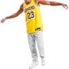 Nike Los Angeles Lakers Icon Edition Men's Nike Dri-FIT Nba Swingman Jersey DN2009-733