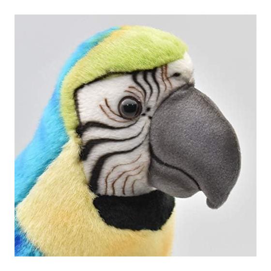 BH3068 HANSA Green Macaw 72
