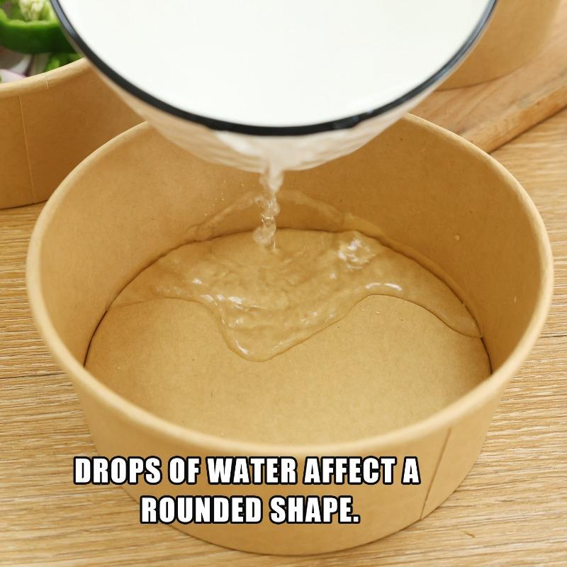 20/10x Lunch Bento Boxes Salads Party Camping Food Disposable Tableware Kitchen Meal Preparation Round Bowl with Lids Container