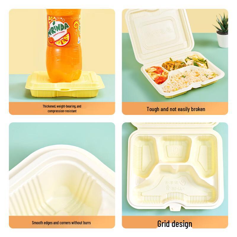 Disposable Partitioned Takeout Lunch Boxes