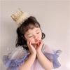 Princess Crown Birthday Headpiece for Girls - First Birthday Photo Prop