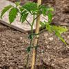 Green Garden Rope Plant Support Ties for Home and Office Cable Organization.