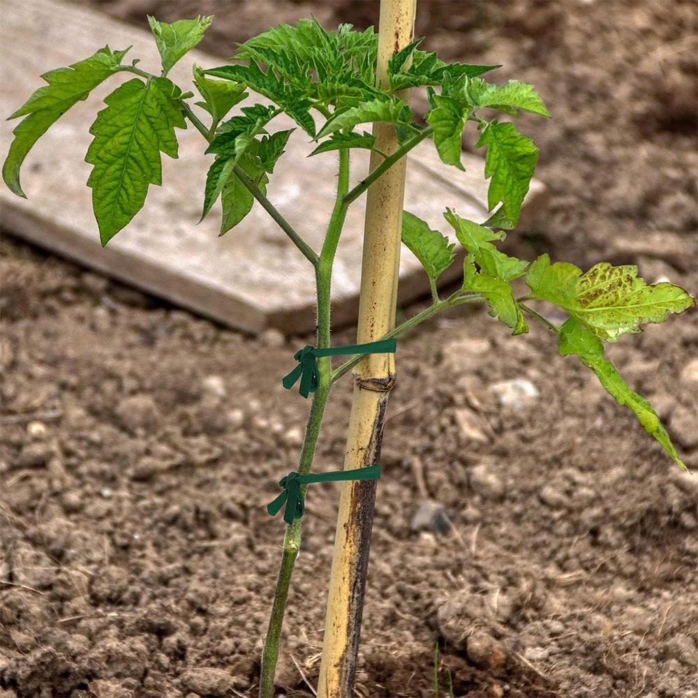 Green Garden Rope Plant Support Ties for Home and Office Cable Organization.