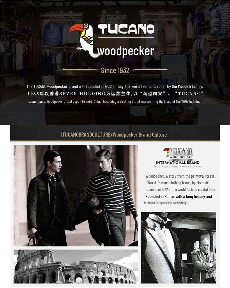 Specht 2025 Herren Rollkragenpullover – Unifarben gestrickt, Langarm, Herbst/Winter-Wärme, Hongkong-Stil