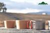 FORESTABLE Beech Cup, Small, Made of Natural Wood, for Outdoor Camping