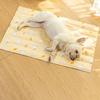 Chill Comfort Pet Cooling Pad - Relax In Style