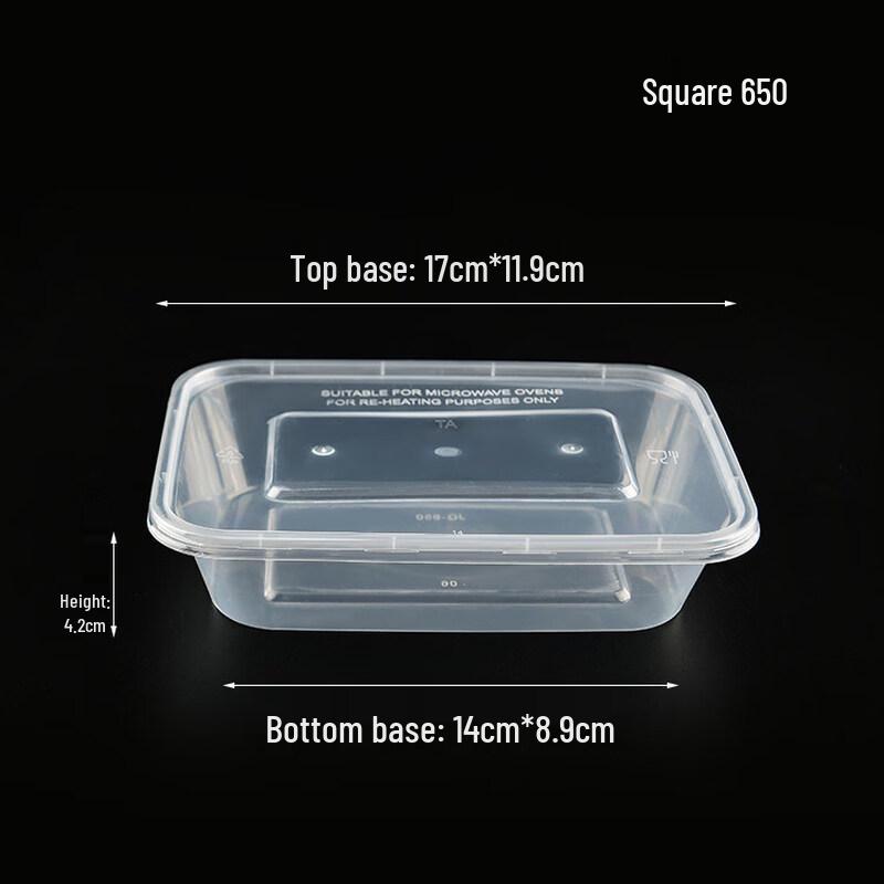 ZISIZ Disposable Rectangular Lunch Box