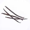 WANILIA LASKI 12-14cm Laska Wanilii - 1 szt