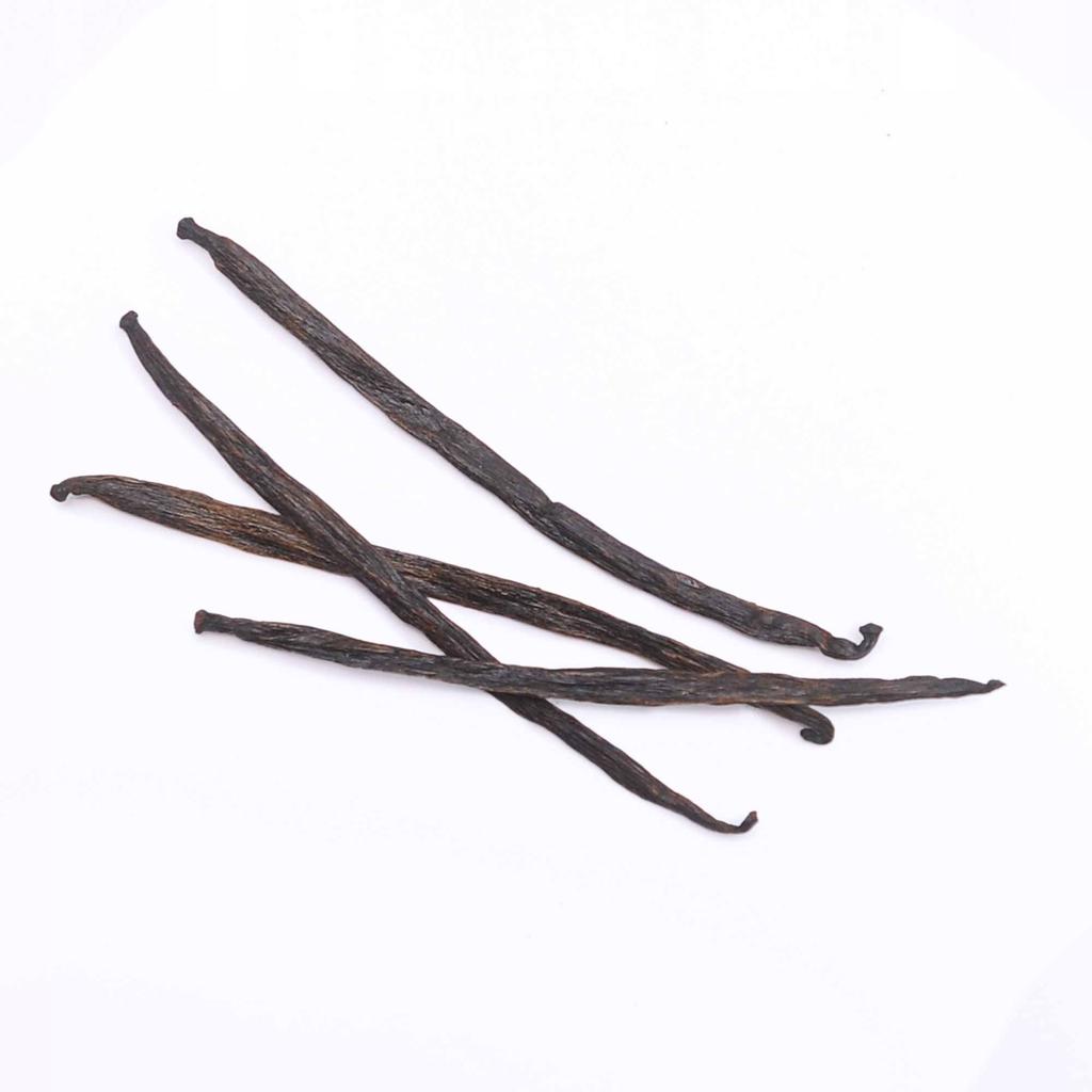 WANILIA LASKI 12-14cm Laska Wanilii - 1 szt
