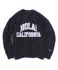 CALIFORNIA PROJECT Hola Sweatshirts (Black)