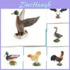 Farm Animal Chicken Duck Goose Pvc Model Set For Kids Education And Decor With Realistic Bird Figures