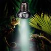 Reptile – Terarii pentru reptile