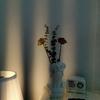 Vaso hidropônico nórdico, ornamentos, vaso de flores, pincel de maquiagem, balde de armazenamento, adereços para fotos, decoração de casa vintage