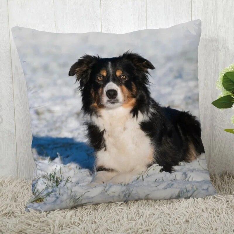 Pillowcase Border Collie  Modern Home Living Room Decor