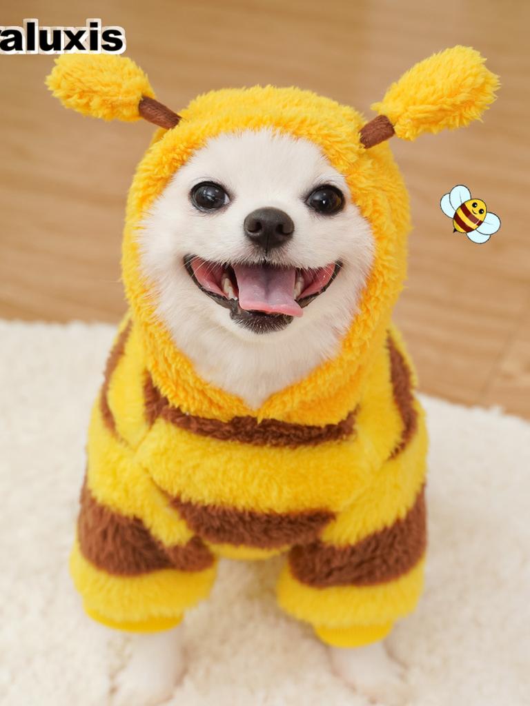 Pet Clothes for Dogs and Cats - Autumn Winter Transformation Outfit Teddy Bear Poodle French Bulldog Fleece Medium Dog