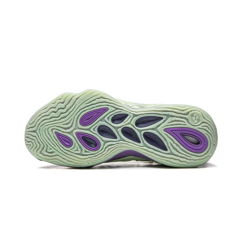 Li Ning Reverse 5 Hunter 2 Super Demon Technology Mesh Basketball Shoes Men sneakers Purple Green ABFW013-10