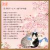 Original Cat Party Fully Automatic Safety Children's Umbrella for Boys and Girls, Student School Umbrella, Sunshade Umbrella, Rain Umbrella