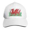 Y Ddraig Goch Baseball Cap Sun Hat For Children Beach Outing Fishing Caps Unisex Military Tactical Cap Womens Beach Visor Unisexs