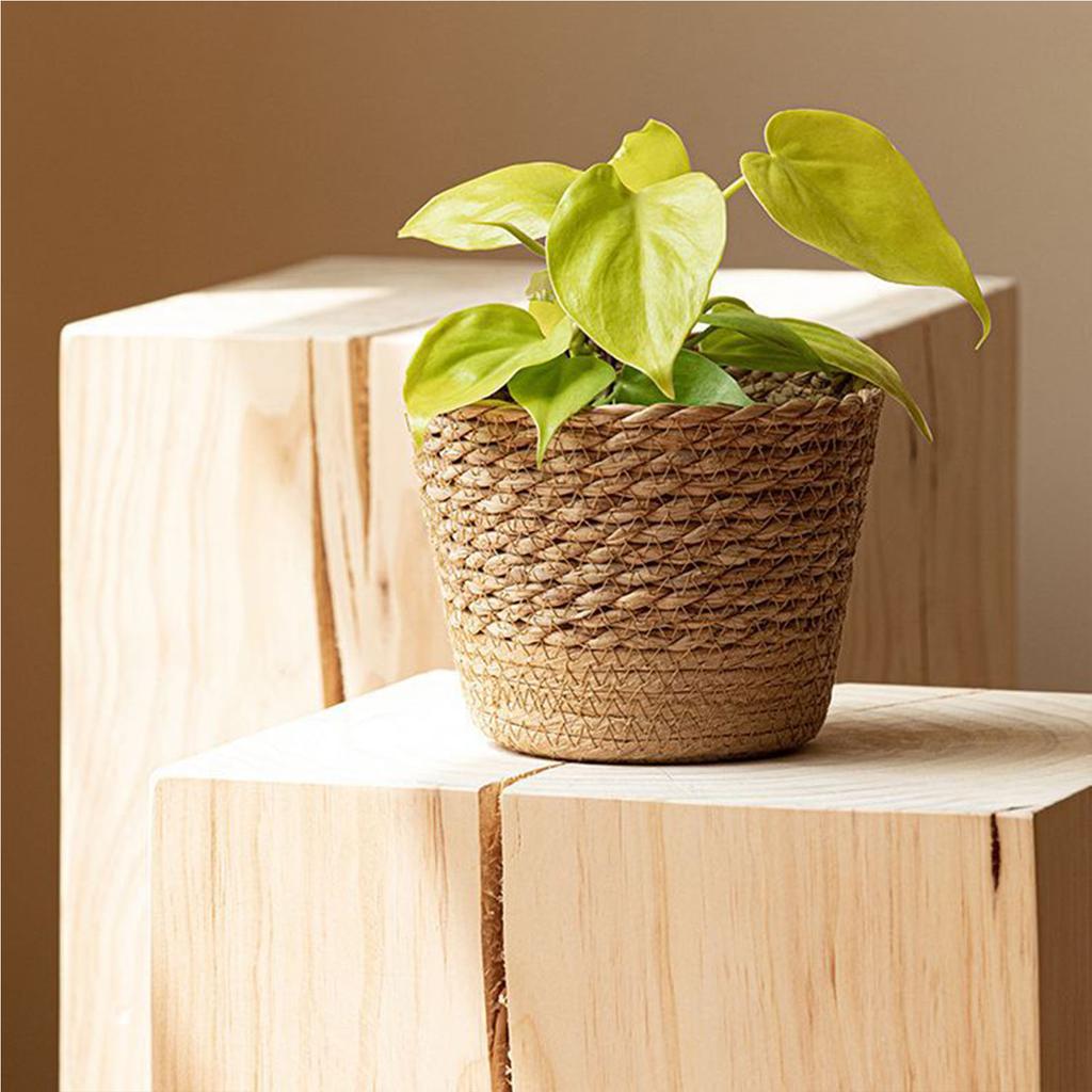 Natural Woven Flower Basket Straw Wicker Planter Storage Baskets Large Capacity Pots for Family Friend Neighbor Gift