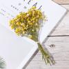 Decor Natural Material Photo Props Real Flower Mini Babysbreath Natural Dried Bouquets Plant Stems