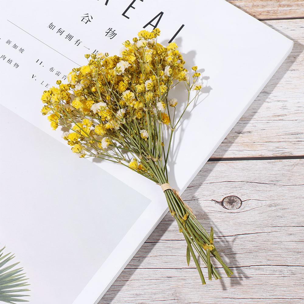 Decor Natural Material Photo Props Real Flower Mini Babysbreath Natural Dried Bouquets Plant Stems