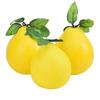 Modelli di Frutta Finta Simulazione Oggetti di Scena Decorazione Casa Hotel Ristorante Negozio Frutto del Pane Pompelmo Pomelo Frutta Artificiale