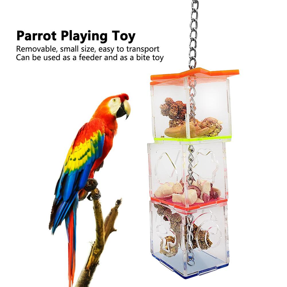 macaw foraging toys