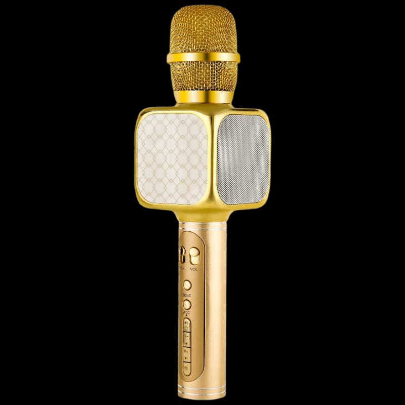 Wireless Handheld Karaoke Microphone Speaker with Voice Changer