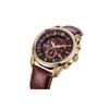 CITIZEN Ecology Drive Collection Light Powered Quartz Movement Cow Leather Strap Watch Men's Watches BL5548-19X