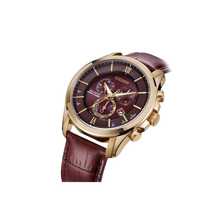 CITIZEN Ecology Drive Collection Light Powered Quartz Movement Cow Leather Strap Watch Men's Watches BL5548-19X