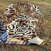 1PC Leopard Print Tiger StripesUmbrella-8-Rib Reinforced, Automatic Open, Lightweight & Durable, Cute Fashion Accessory for Outdoor-P120