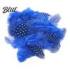Feather Decorations for Colors 4.5-10cm Natural Chicken Guineahen Feathers Crafts 50Pcs Tail Bright Colored DIY