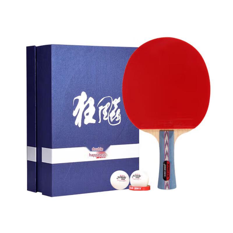 DHS Hurricane 2 Table Tennis Racket