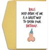 Naughty Birthday Card for Him, Dirty & Funny for Husband, Boyfriend or Fiance