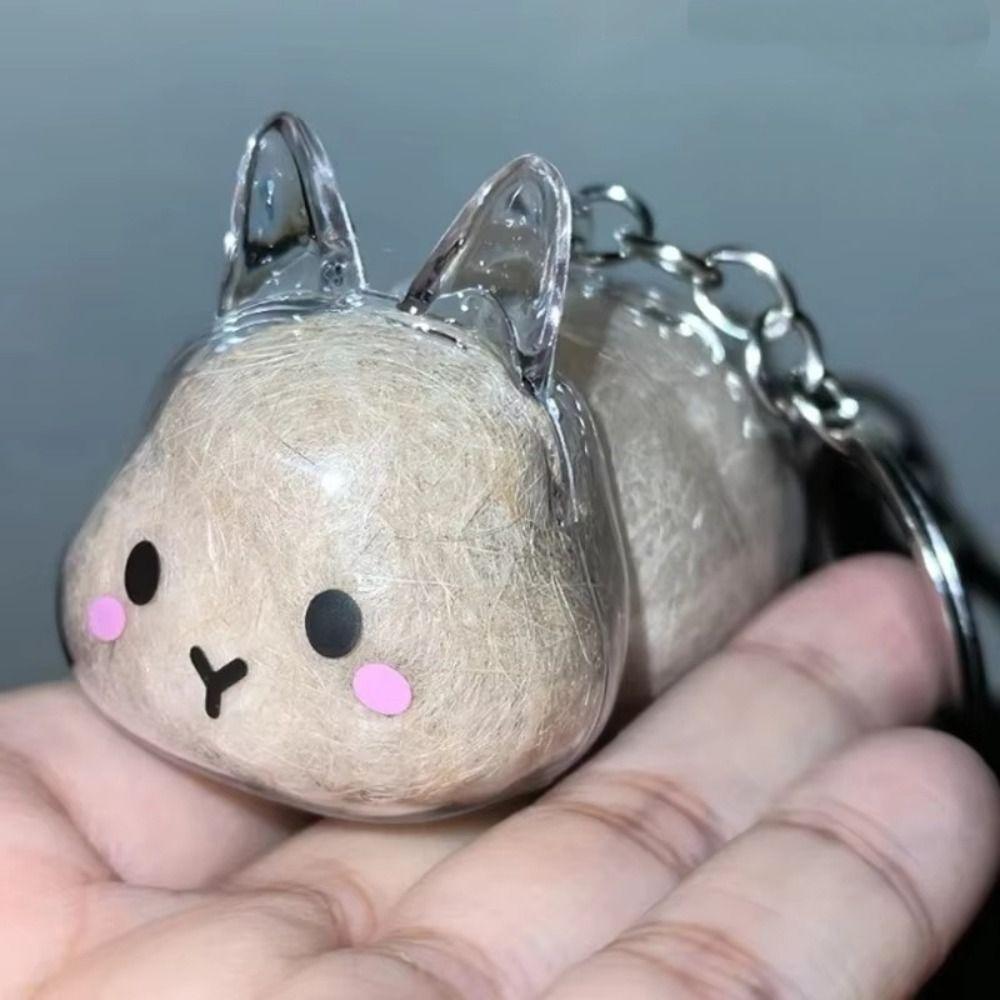 Hair Container Rabbit Hair Collector Transparent Rabbit Hair Storage Box  Jewelry Gifts