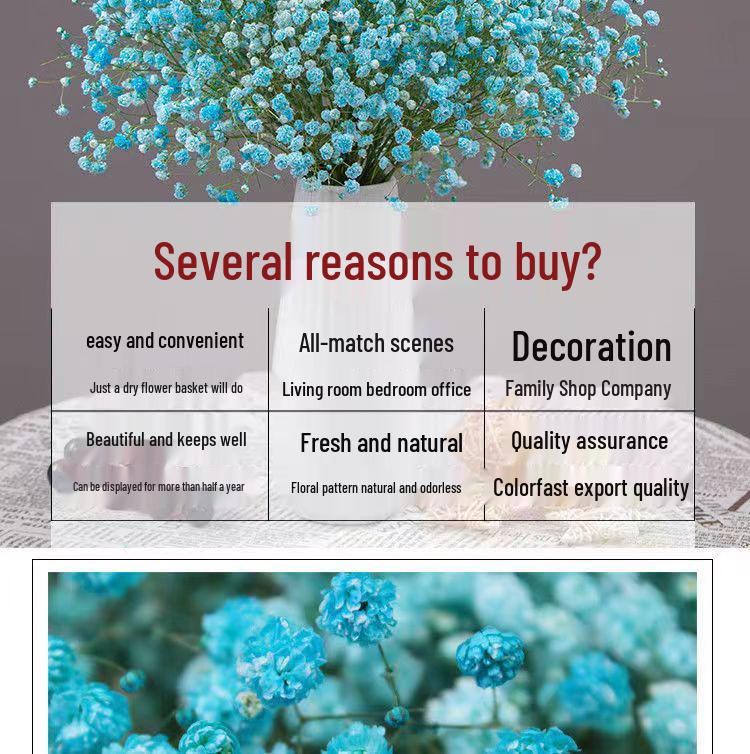 Baby's Breath Dried Flower Bouquet - Real Decorative Flowers for Living Room and Gift Packaging