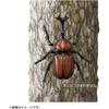 Takara Tomy Ania AS-37 Beetle Insect Toy for Ages 3 and Up