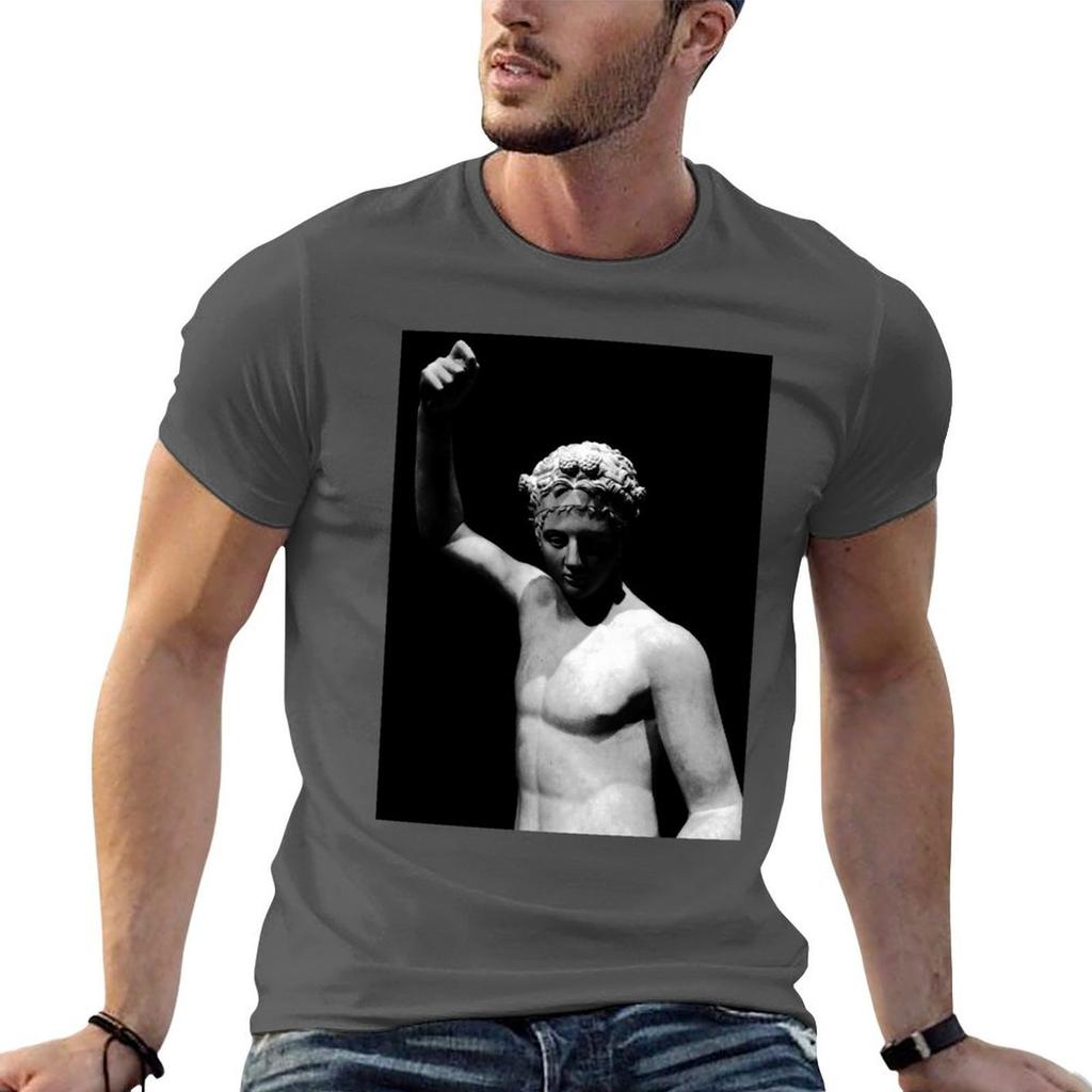 Victorious Greek Youth TShirt T Shirts For Unisex Graphic Vintage Funny T Shirts Unisex Unisex T Shirts For Unisex TShirt