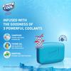 Dermicool Soap With 3 Coolants Camphor Menthol Thyme Oil 125g X 5 Pack Of 1 Instant Cooling Fresh Skin