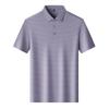 Pierre Cardin Men's Ice Silk Striped Polo Shirt